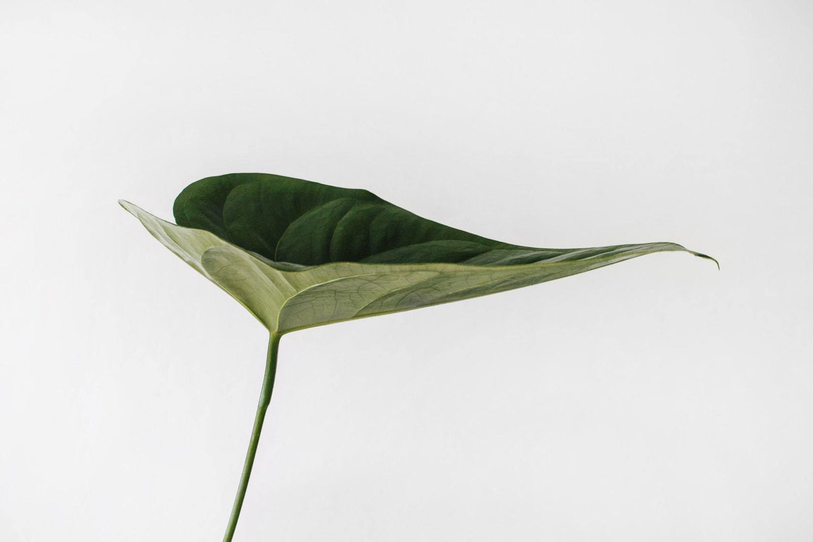6 Ways To Live A Little Bit More Sustainably