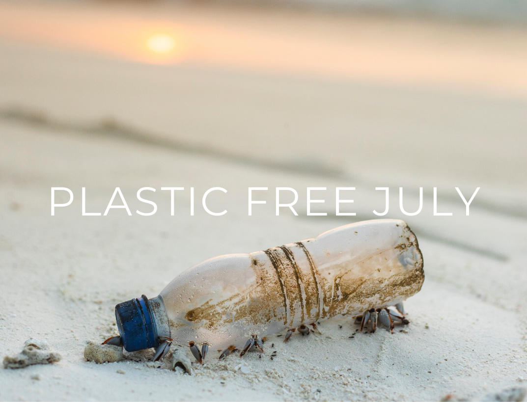 How To Take Part in Plastic Free July